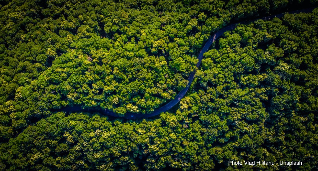 Diminuisce la deforestazione in Amazzonia: nel 2026 al minimo storico