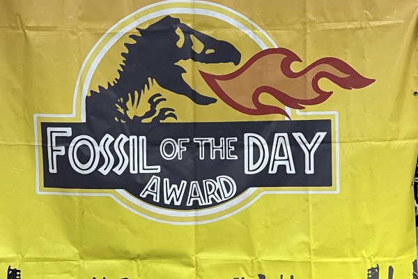 Cop29 si spacca: gli ambientalisti tradizionali vogliono la secessione