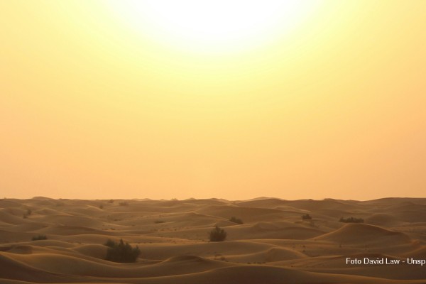 Il 2024 è stato l'anno più caldo della storia