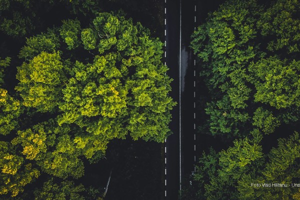 I fattori ESG influenzano le performance e il credito delle PMI italiane