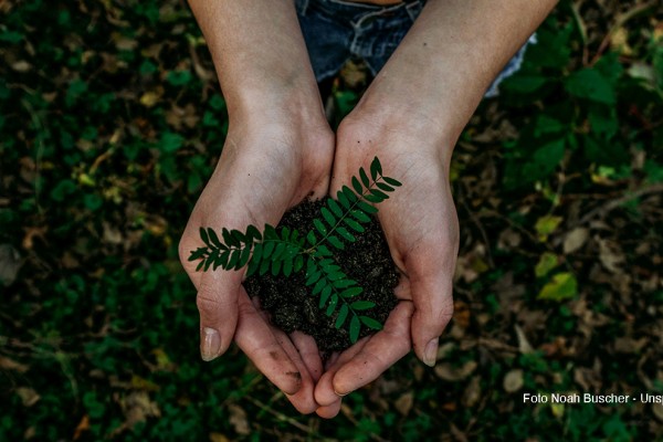 Sostenibilità: a Verona uno sportello per supportare le pmi